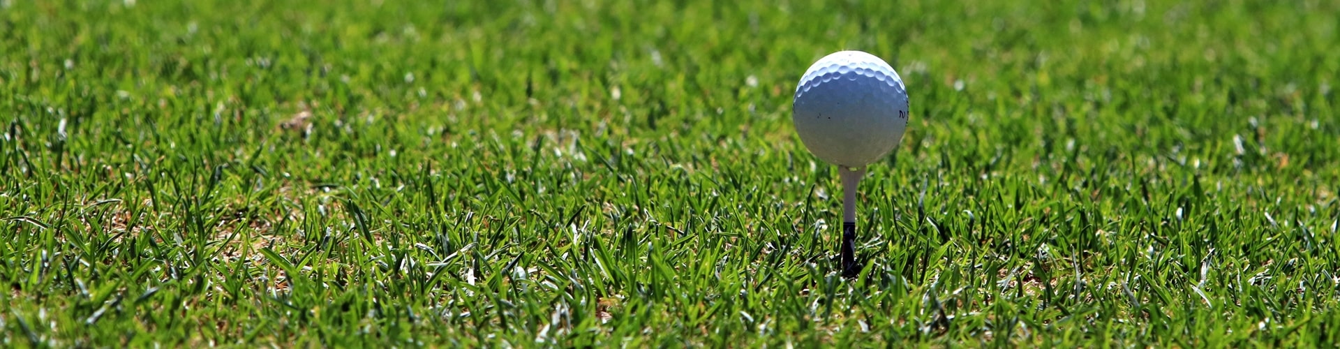 Golfball im Rasen